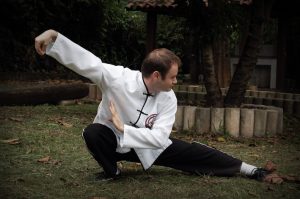 Sifu Edgar Martino