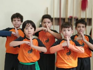 Aula de Kung Fu Infantil no Ipiranga
