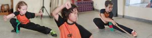 Kung Fu Infantil e Juvenil